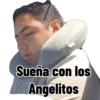 Perros 29