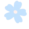 Spring collection 6
