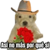 Así no más por qué si