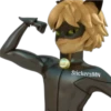 Miraculous 🐞 30