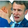 EHI TU PORCO 26