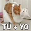 🔥𑄝GATOS HORNY/HORNY CATS𑄝🔥 13
