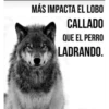 lady :3 12