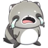 Raccoon Moods 8