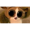 mort 29