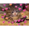 receiving love 29