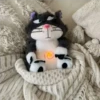 gato lucifer (peluche) 🐈‍⬛ 27