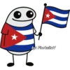 Flork patriótico 😗🌍 16