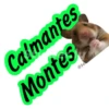 memes mexicanos 24