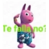 gatos 5