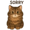 SORRY