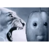 manzana 5