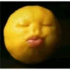 manzana 7