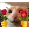 sending love 5