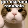 por eso uno renuncia Qeysic