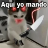 Aquí yo mando