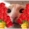 sending love 6