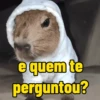 e quem te perguntou?