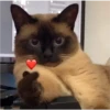 sending love 7