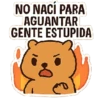 NO NACÍ PARA AGUANTAR GENTE ESTUPIDA