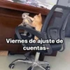 Surtiditos💞22🇵🇪Clásica 8