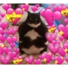 sending love 9
