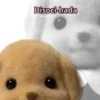 🧚🏻‍♀️🪄🔮HADA memes🔮🪄🧚🏻‍♀️ 9