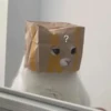 Singularity-cat 7