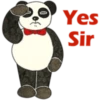 CUTE PANDA 7