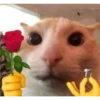 sending love 10