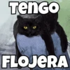 TenGo GO FLOJERA