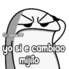 Flork vistimo 😃✨ 7