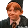 HP ⚡️ Harry, Ron,Hermione 🪄 12