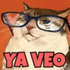 YA VEO CATWHeezie