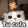 geysiow Tu cola