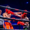 Westcol 💸🥊 9