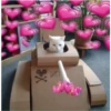 sending love 11