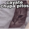 cayate chupa pitos હી