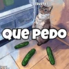 [SUSTO] Que PEDO CATWHEEZIE EM-U
