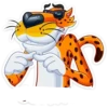 Chester Cheetos💞1🇵🇪Clásica 11