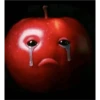 manzana 14