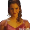 HP ⚡️ Harry, Ron,Hermione 🪄 18
