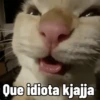 Que idiota kjajja