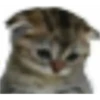 Lycora's Fun Pack-2 10