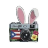 DtMF Bad Bunny 12