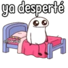 Flork en la camita 🥹 6