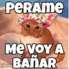 PERAME ME VOY A BAÑAR CATWHEEZIE EM.PAQUIN