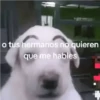 o tus hermanos no quieren que me hables