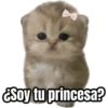 Memes - gatos bebes 🐱💕😂 10