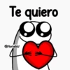 Flork -licencia para 13
